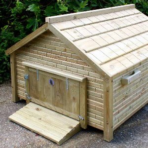 Tortoise Houses & Runs