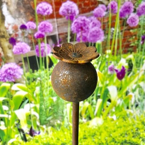 Plant Pins