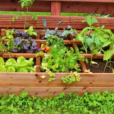 Gardening, Landscaping, Grow your own & Ornaments