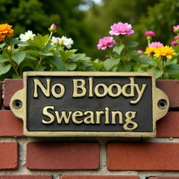 No Bloody Swearing Door Sign - Metal - Aluminium - L1 x W15 x H6 cm