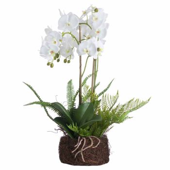Large Orchid and Fern Garden in Rootball Artificial Flower - Plastic - L33 x W33 x H57 cm - White