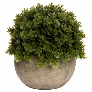 Miniature Shrubby Veronica in Pot Artificial Plant - L13 x W13 x H13 cm