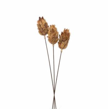 Bouquet of Dried Protea Artificial Plant - L12 x W12 x H60 cm
