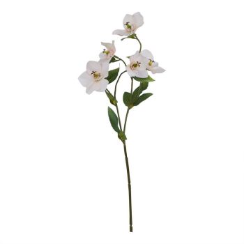 The Natural Garden Collection Pale Apricot Hellibore - Artificial Flower (Single Stem) - Plastic - H47 cm