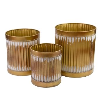 Small Dolly (Set of 3) - Gold