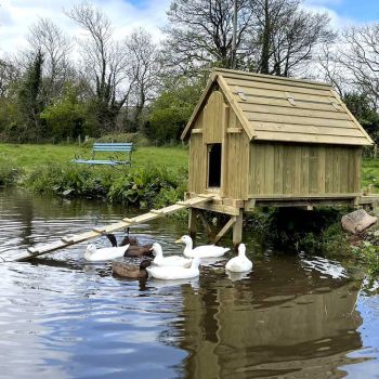4 x 3 Bank Side Duck House - Pressure Treated Timber - L110 x W100 x H144 cm