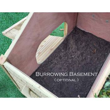 Optional Burrowing Basement for Tortoise Manor