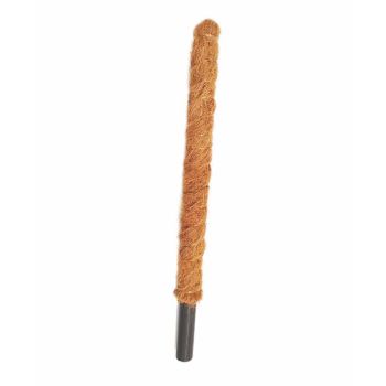 Grow Poles - Fibre/Wood - L5 x W5 x H50 cm