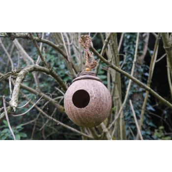 Nestling Nook Bird Nest - Coconut Shell - L25 x W25 x H12 cm