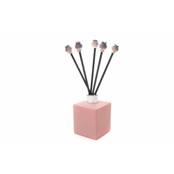 Diffuser Decor - Poppy Seed Heads Range - L10 x W10 x H2 cm