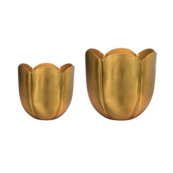 Eva Tulip Planter (Set of 2) - Metal - L18 x W18 x H17 cm - Gold