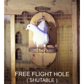 Optional Extra - Free Flight Hole for Ipswich Aviaries 8 Natural - Pressure Treated Red Pine