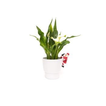 Full Colour Father Christmas Pot Buddy - L10.5 x W7.7 x H5.8 cm