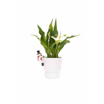 Full Colour Snow Man Pot Buddy - L10.5 x W7.8 x H5.4 cm