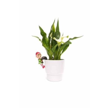 Full Colour Naughty Elf Pot Buddy - L11.5 x W7 x H5 cm