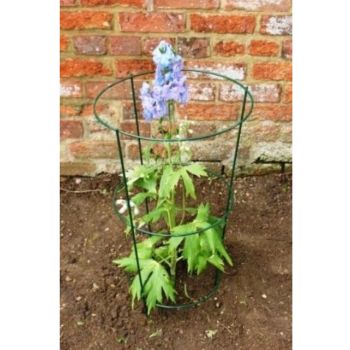 24 Inches Conical Rust (Pack of 4) - Steel - L25 x W18 x H60 cm - Bare Metal/Ready to Rust