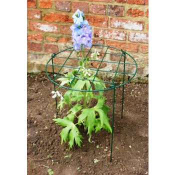 Grow Through Rings & Legs - Various Sizes - Green