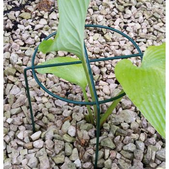 Medium Simple Ring (Pack of 4) - Steel - L40.6 x W40.6 x H50.8 cm - Plastic Coated Green