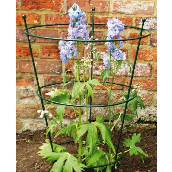 Large Peony Support (Pack of 2) - Steel - L50.8 x W50.8 x H78.7 cm - Bare Metal/Ready to Rust