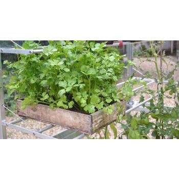 Optional 4 Feet Wide Shelf for Tomato House