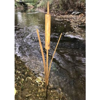 Bullrush Medium Garden Art (Pack of 3) - Steel - H91.4 cm - Bare Metal/Ready to Rust