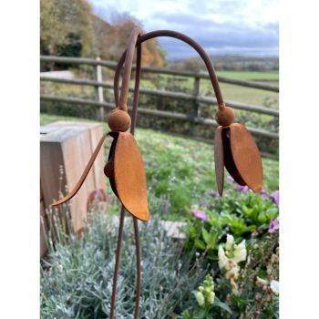 Open Snowdrop Garden Art (Pack of 3) - Steel - W6 x H100 cm