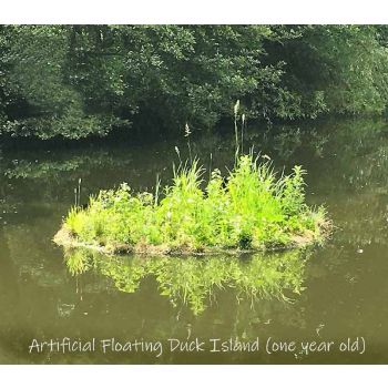 Buttercup Waterfowl Island - 3 module - L600 x W100 cm