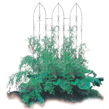 Triple Gothic Screen Bare Metal/Ready to Rust - Steel - L2 x W91.4 x H180 cm