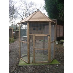 Buttercup Hexagonal Outdoor Bird Aviary 6' diameter with nesting box