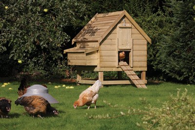 Rowlinsons Large Chicken Coop - For up to 6 Hens